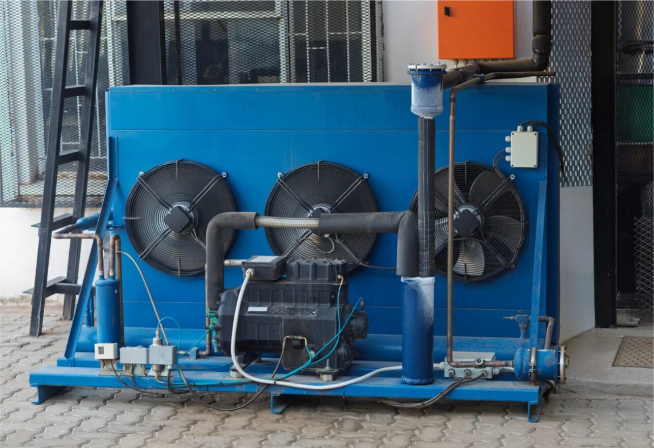 imagen_2026-02-22_213156078